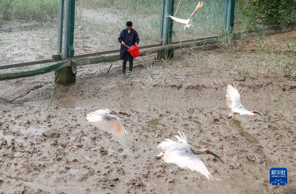 捕鱼达人之海底狩猎